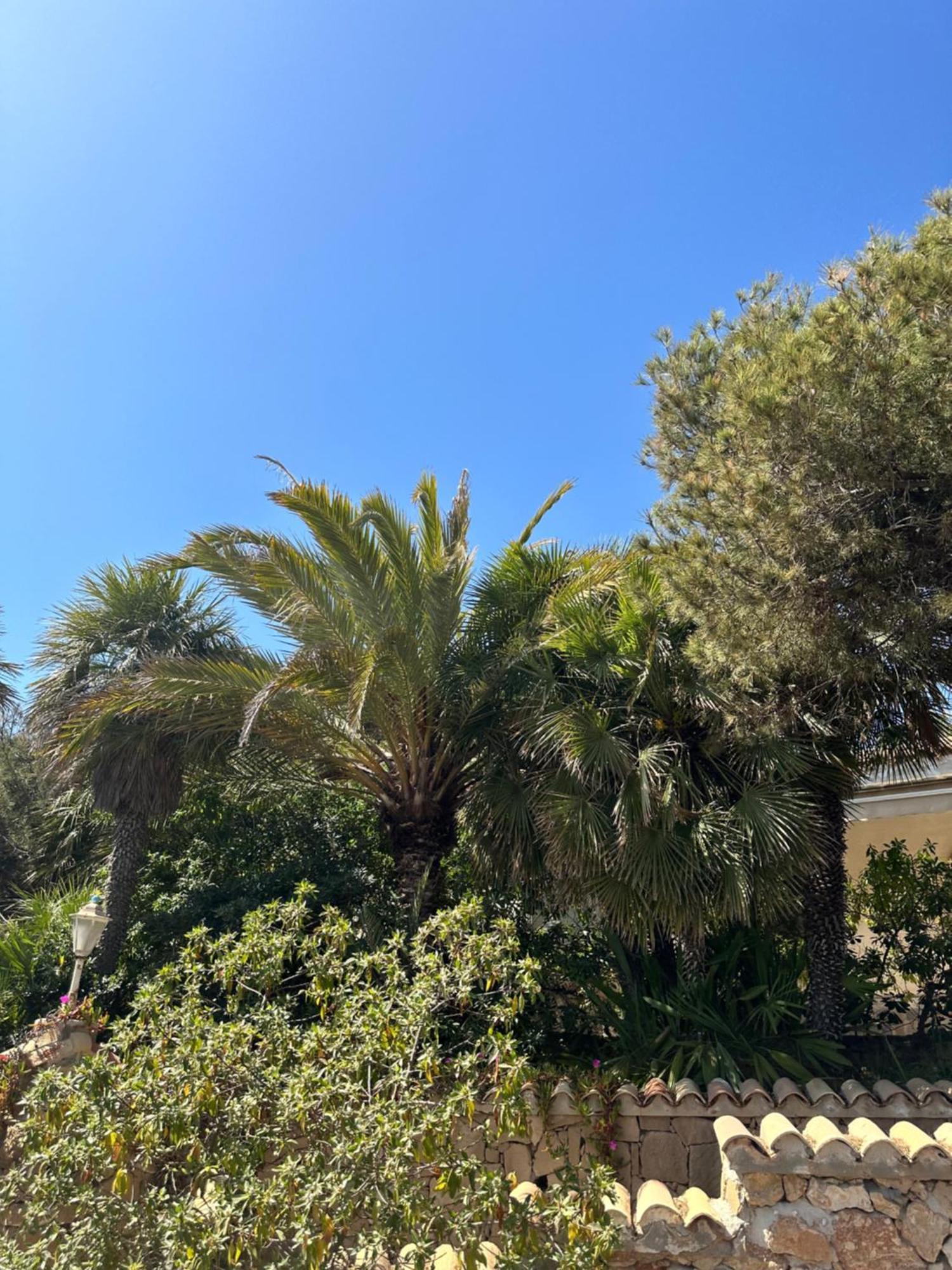 圣波拉Relax Casa Costa Blanka公寓 外观 照片